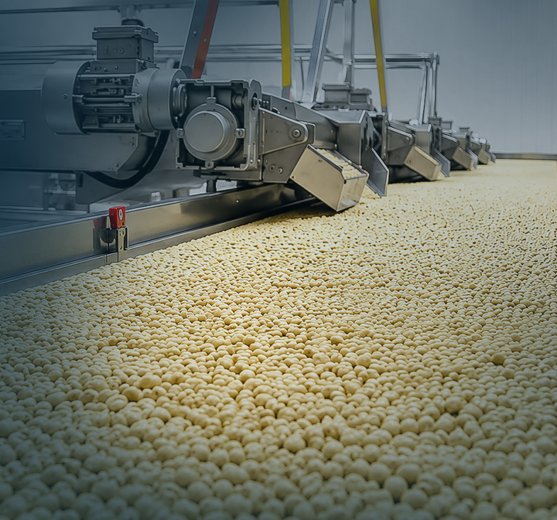 Linha industrial de amendoins Calixto Foods